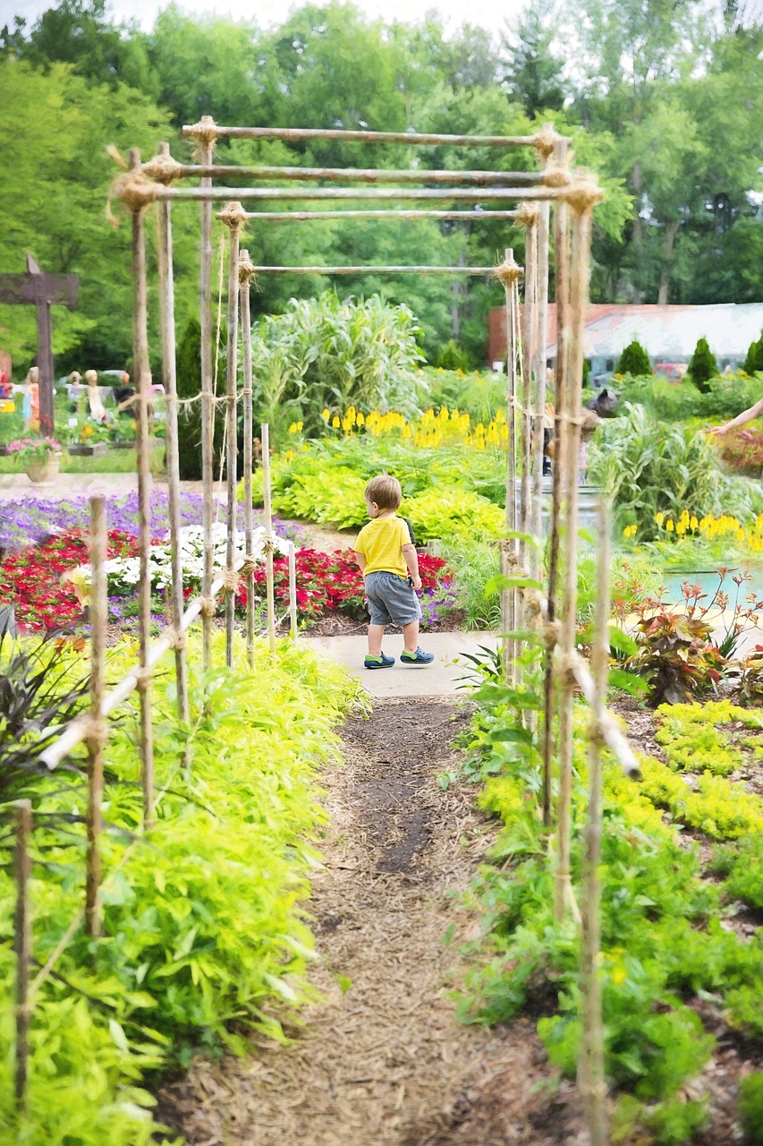 V létě vypadá pergola krásně. 